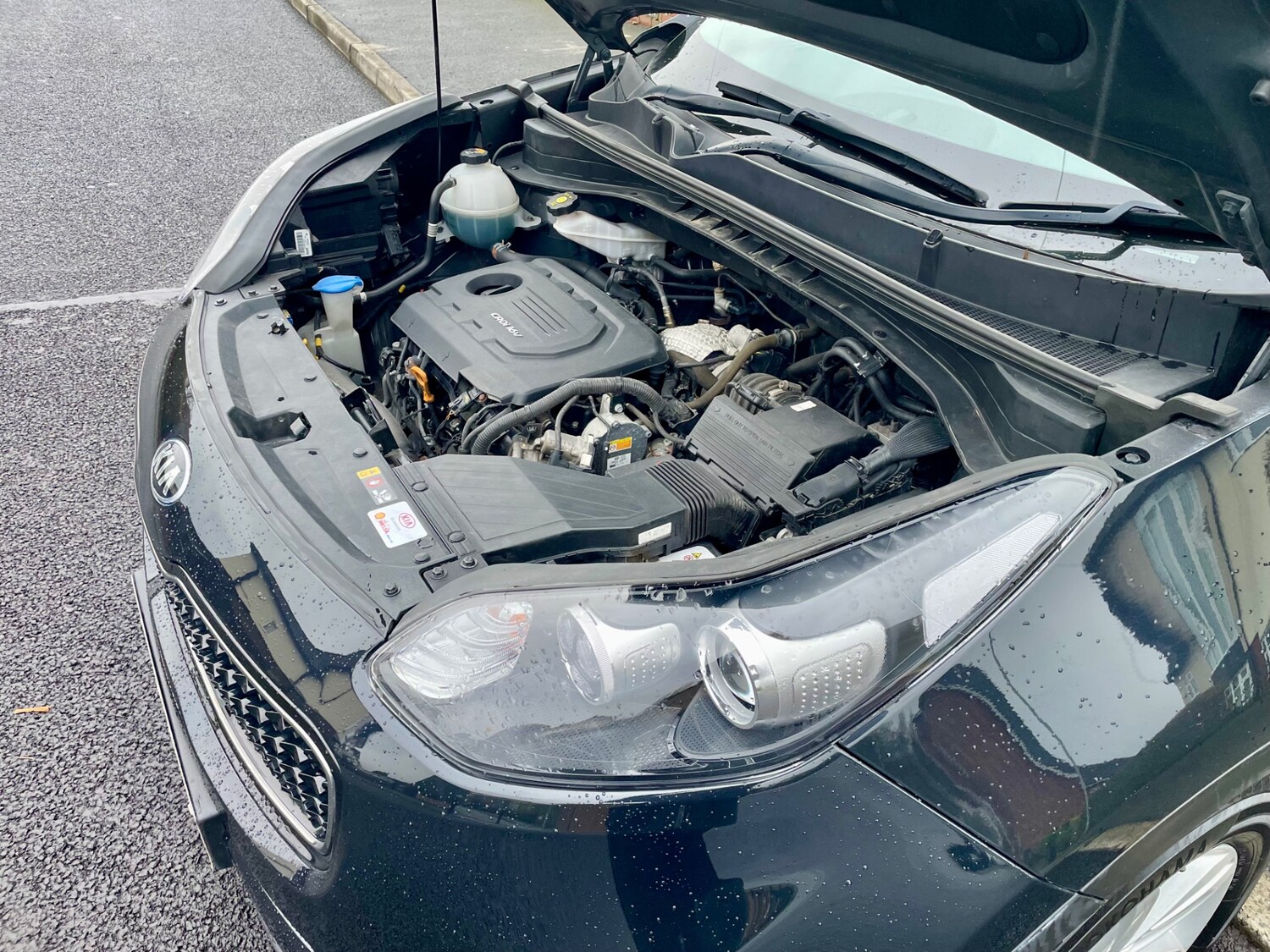 Used Kia Sportage 2016 for sale - 77701151: Photo 18