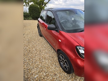 Used smart forfour 2017 for sale - 76415004: Photo