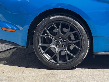 Used Ford Mustang 2019 for sale - 79484379: Photo