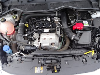 Used Ford Fiesta 2019 for sale - 78794527: Photo