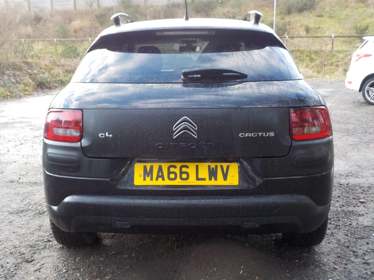 Used Citroen C4 Cactus 2016 for sale - 77637538: Photo 4