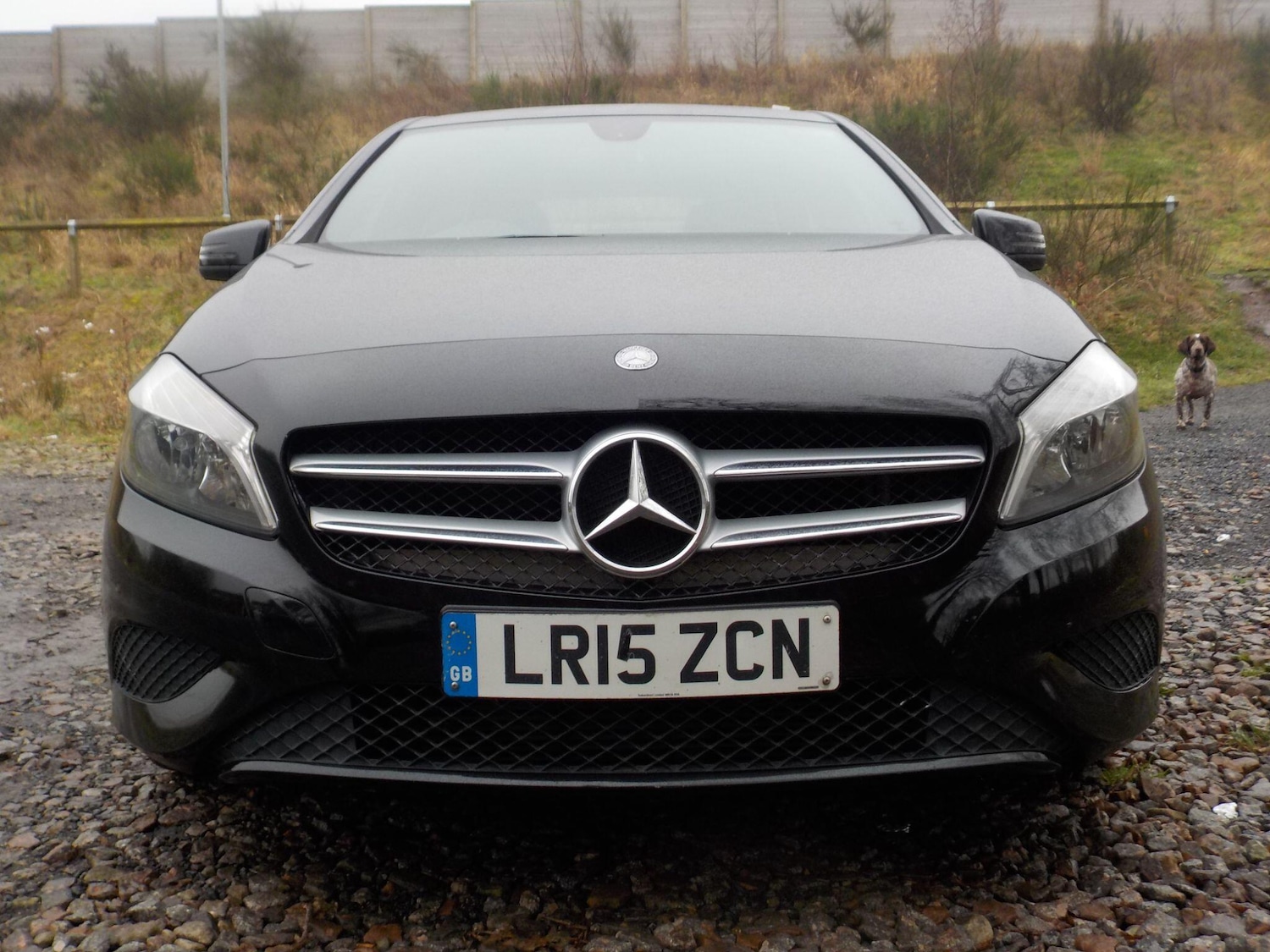 Used Mercedes-Benz A-Class 2015 for sale - 77156178: Photo 8