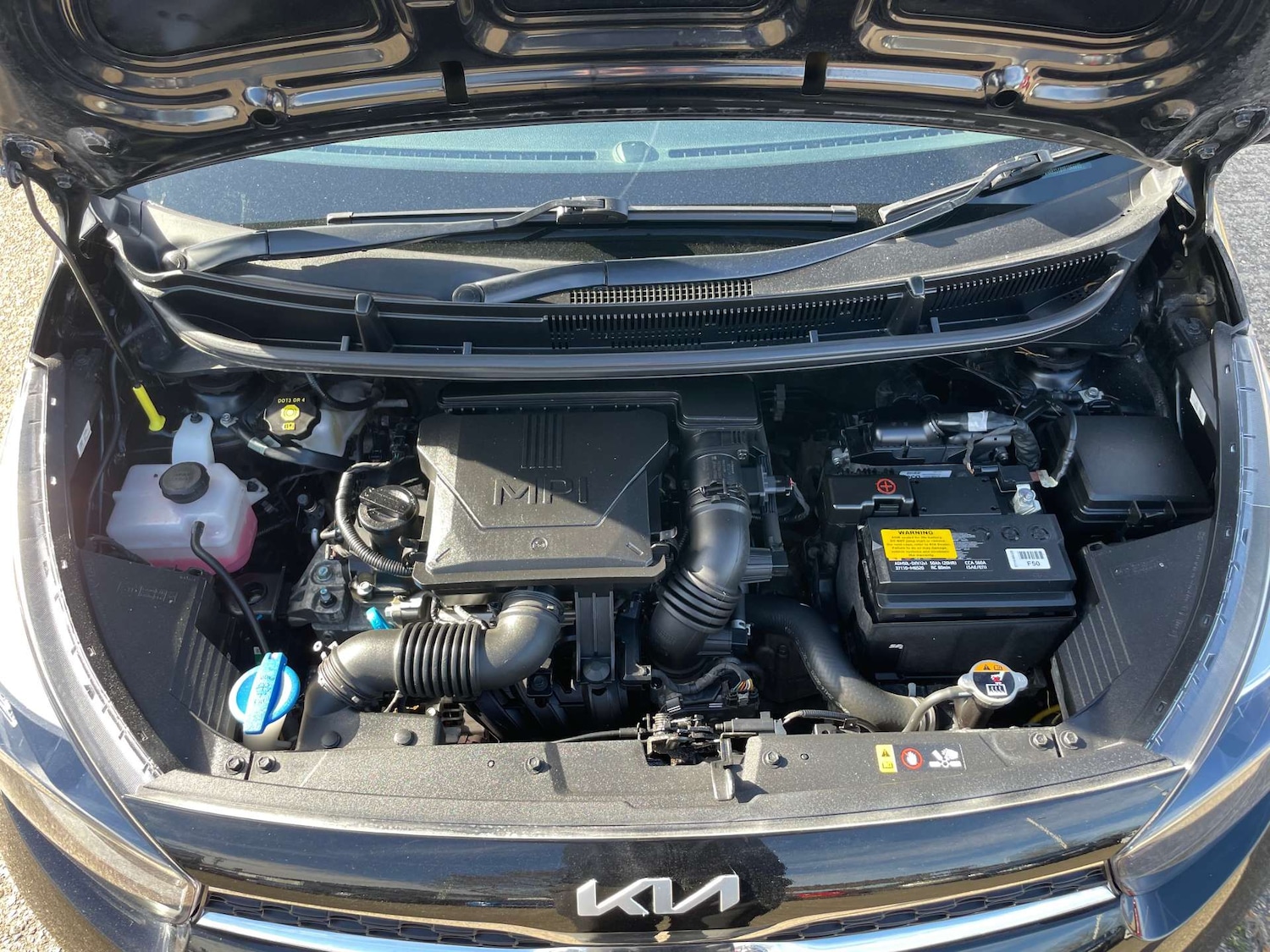 Used Kia Picanto 2023 for sale - 78030905: Photo 7