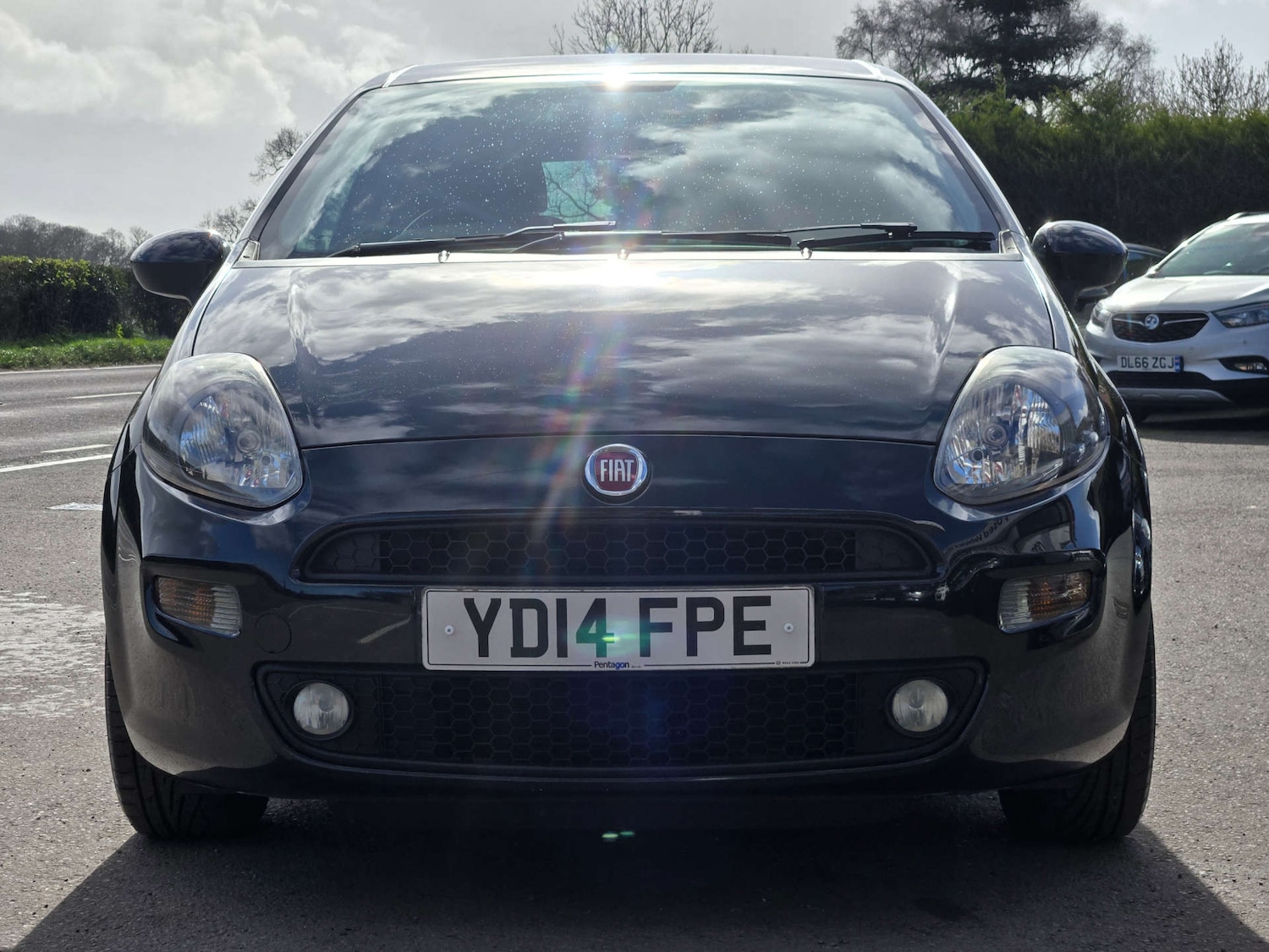 Used Fiat Punto 2014 for sale - 77836361: Photo 11