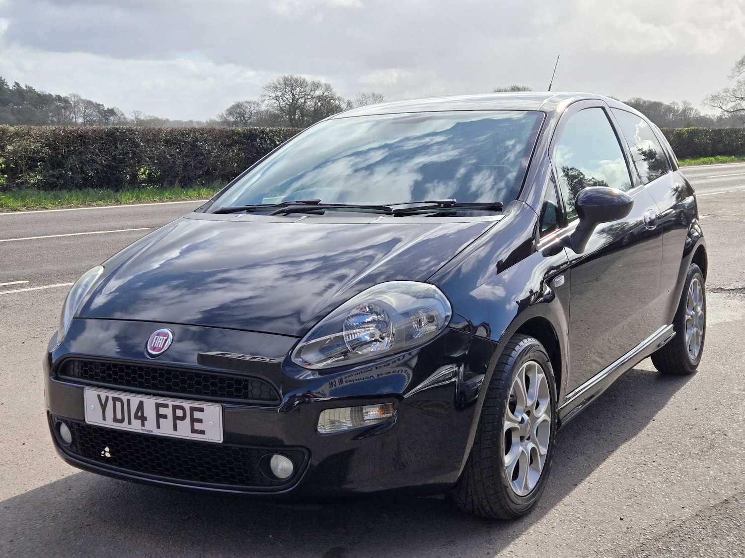 Used Fiat Punto 2014 for sale - 77836361: Photo 12
