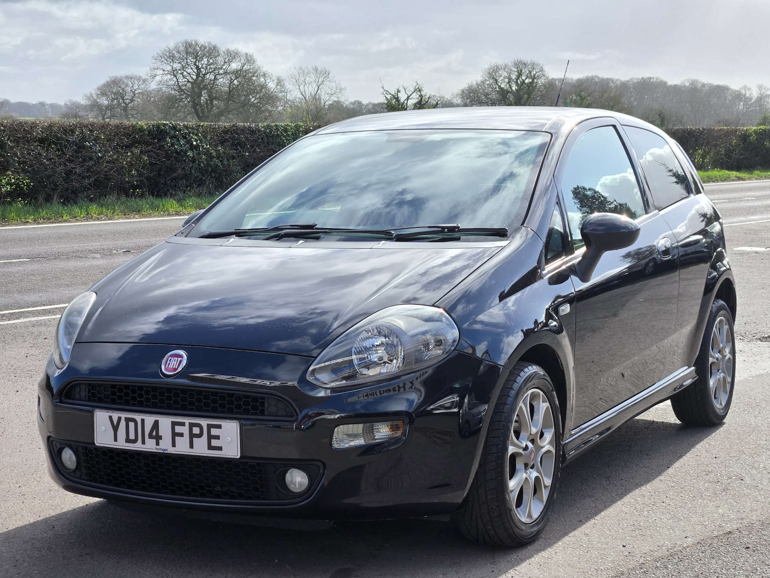 Used Fiat Punto 2014 for sale - 77836361: Photo 2