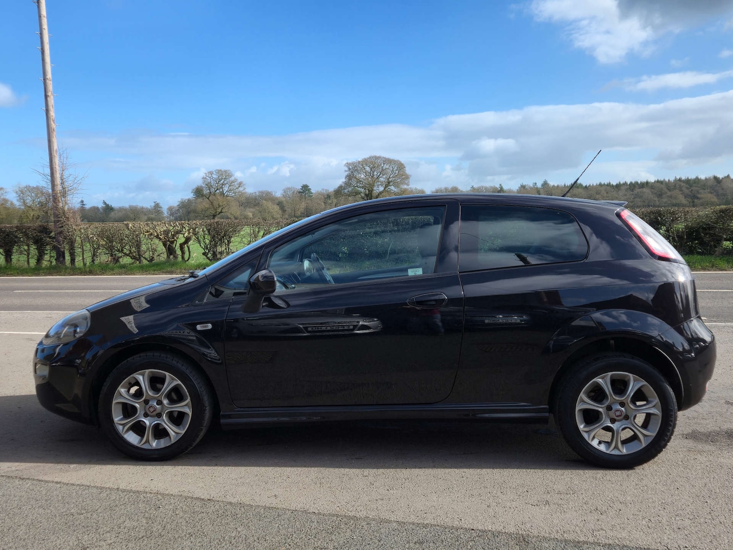 Used Fiat Punto 2014 for sale - 77836361: Photo 3