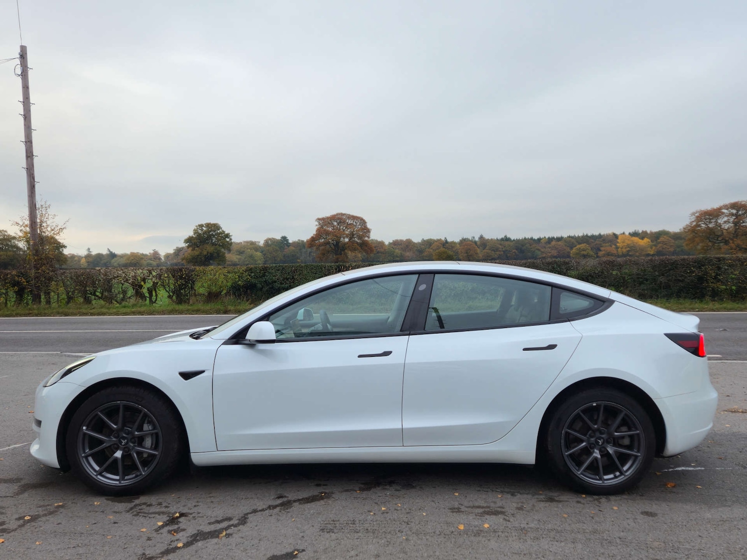 Used Tesla Model 3 2022 for sale - 76497668: Photo 3