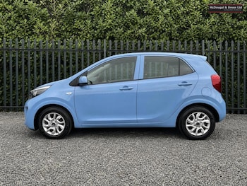 Used Kia Picanto 2020 for sale - 79515430: Photo