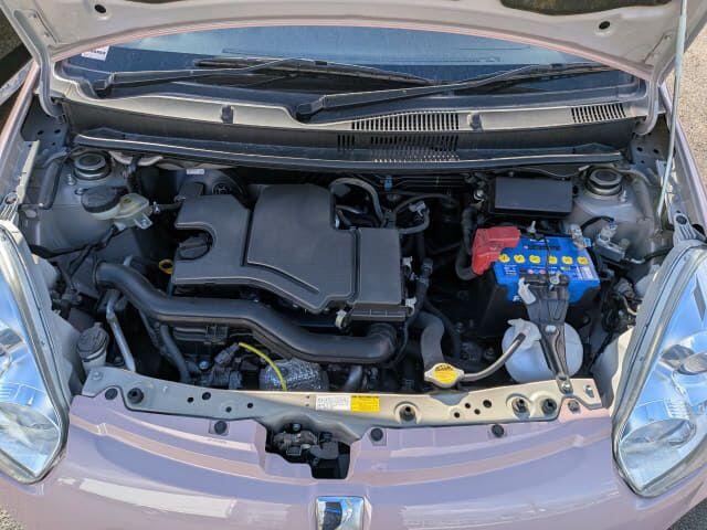 Used Toyota Passo for sale - 77565133: Photo 29