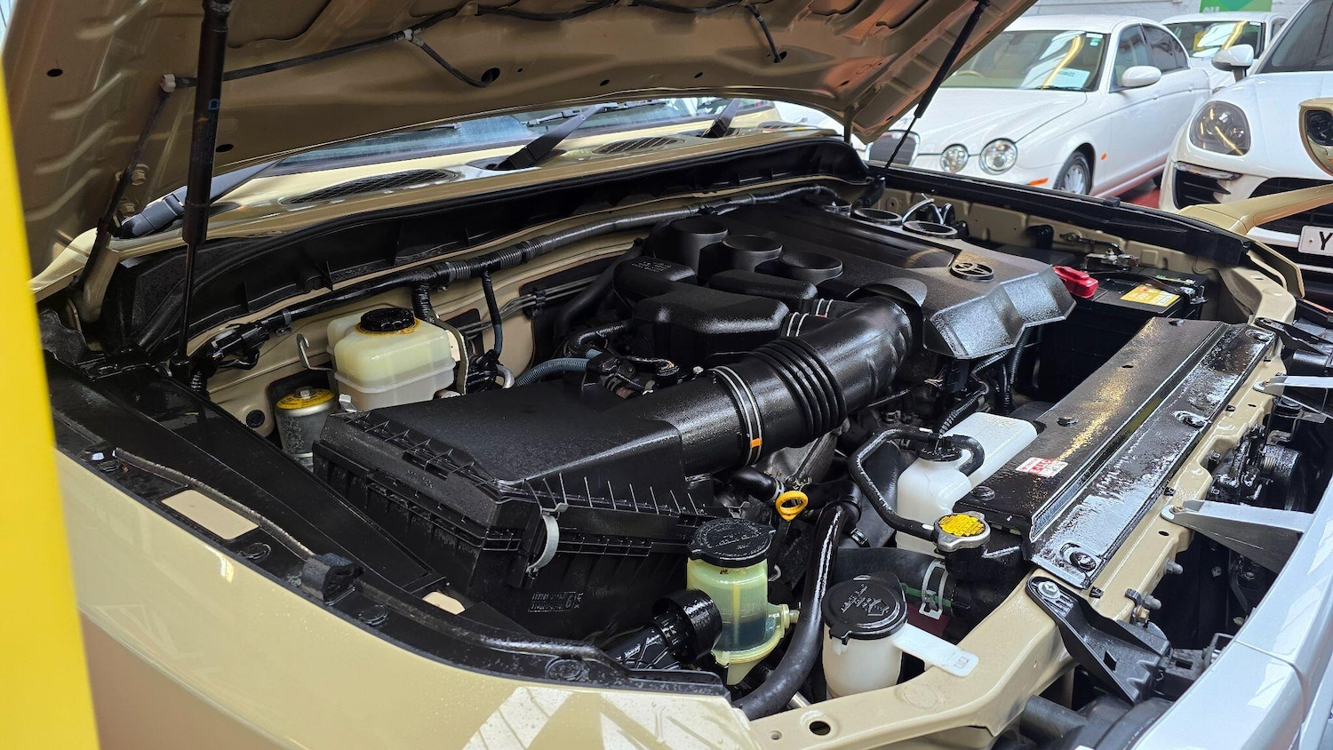 Used Toyota FJ Cruiser for sale - 77625547: Photo 45