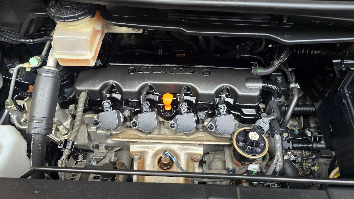 Used Toyota C-HR 2025 for sale - 76995788: Photo 8