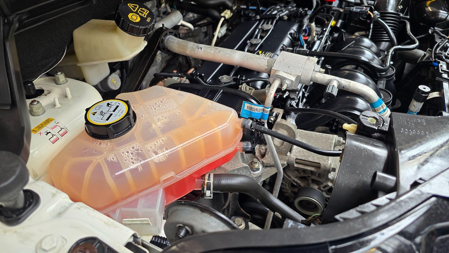 Used Ford Ecosport 2025 for sale - 76991151: Photo 36