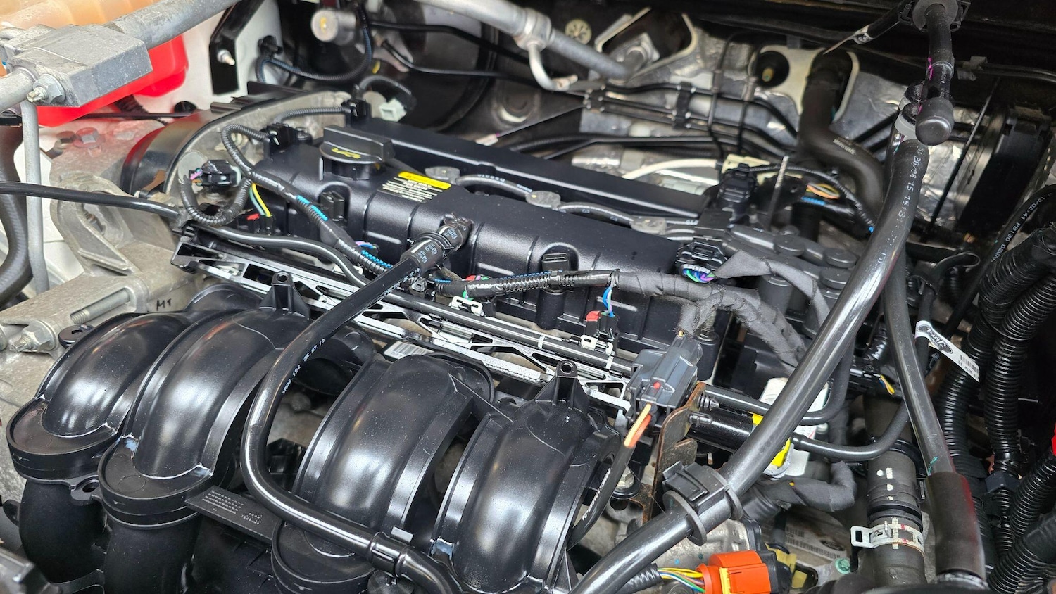 Used Ford Ecosport 2025 for sale - 76991151: Photo 37