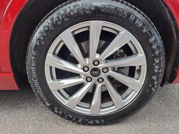 Used Ford Kuga 2020 for sale - 76152730: Photo 15