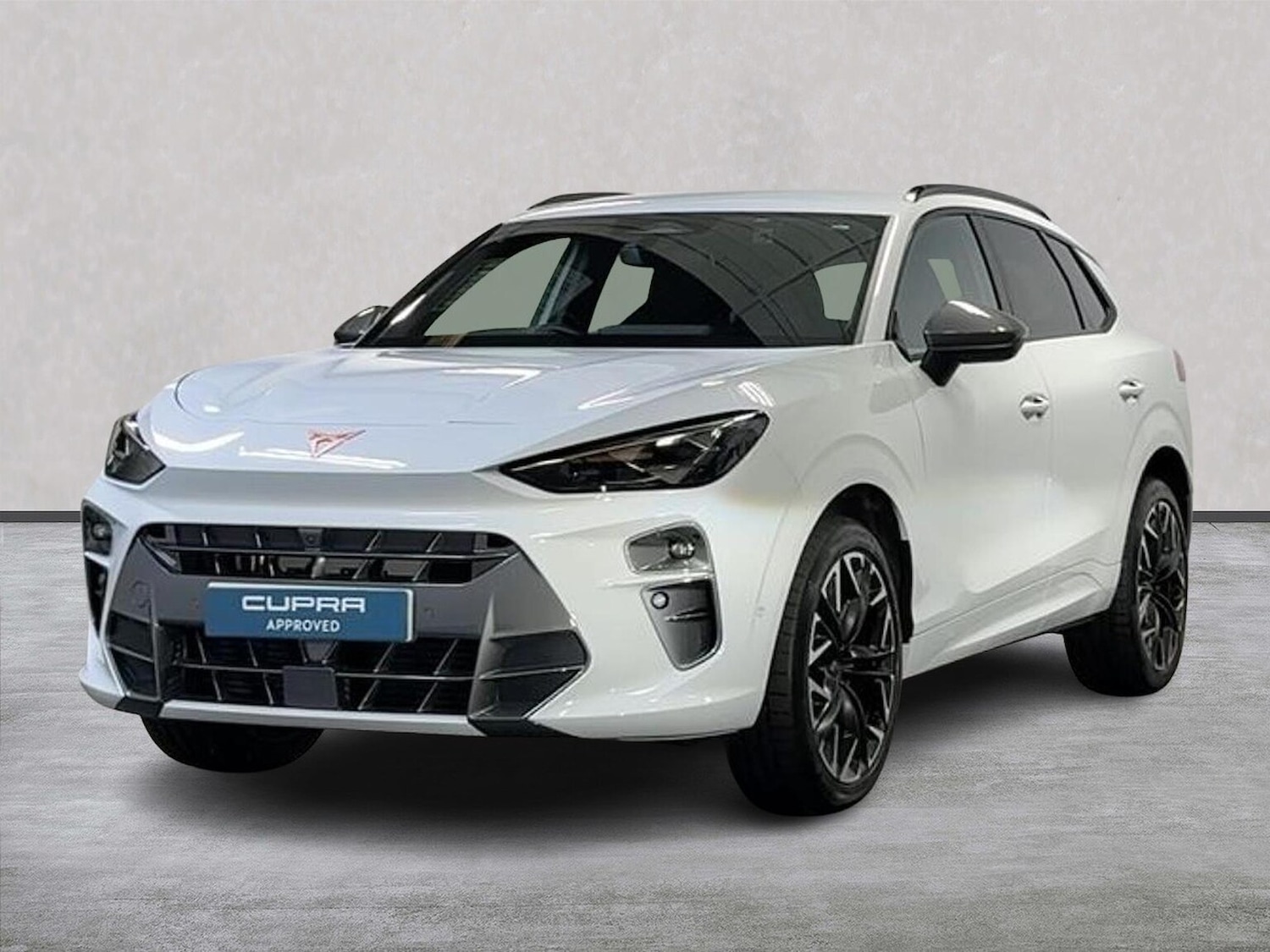 Used Cupra Terramar 2025 for sale - 77750062: Photo 20