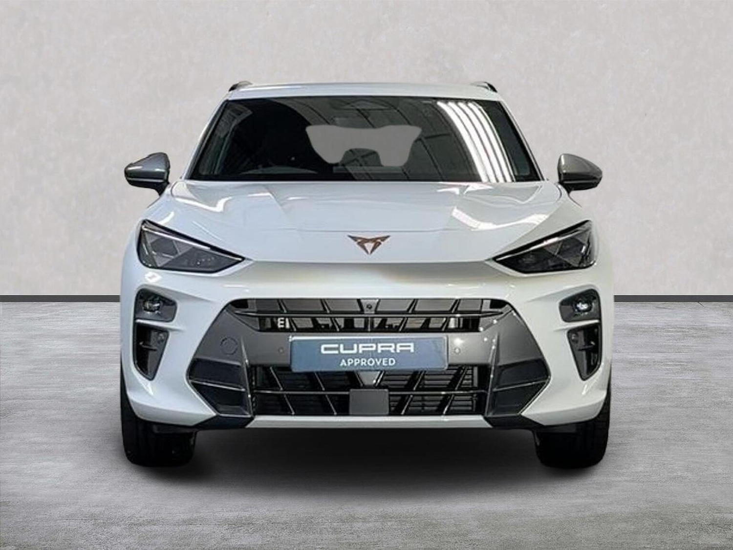 Used Cupra Terramar 2025 for sale - 77750062: Photo 5