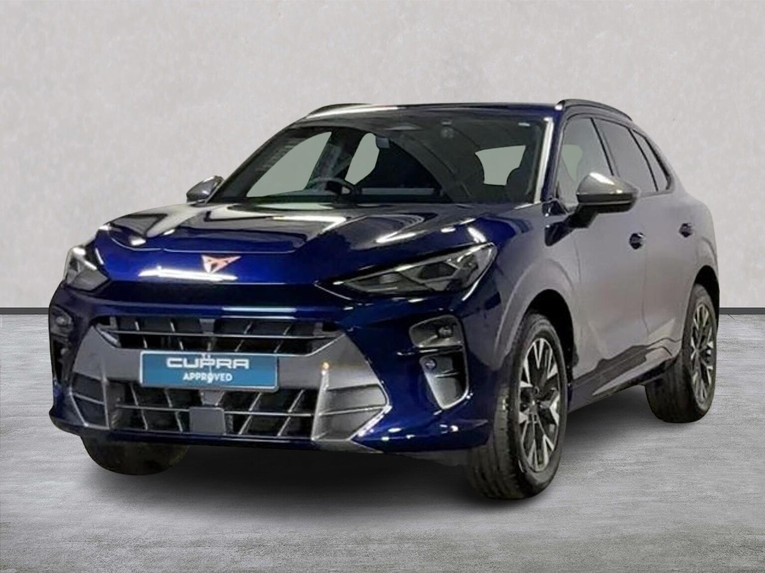 Used Cupra Terramar 2025 for sale - 77676315: Photo 20