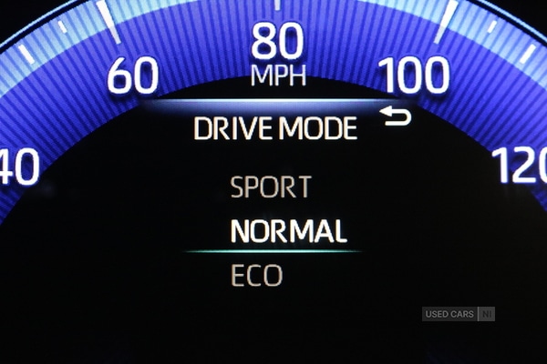 Vehicle 39