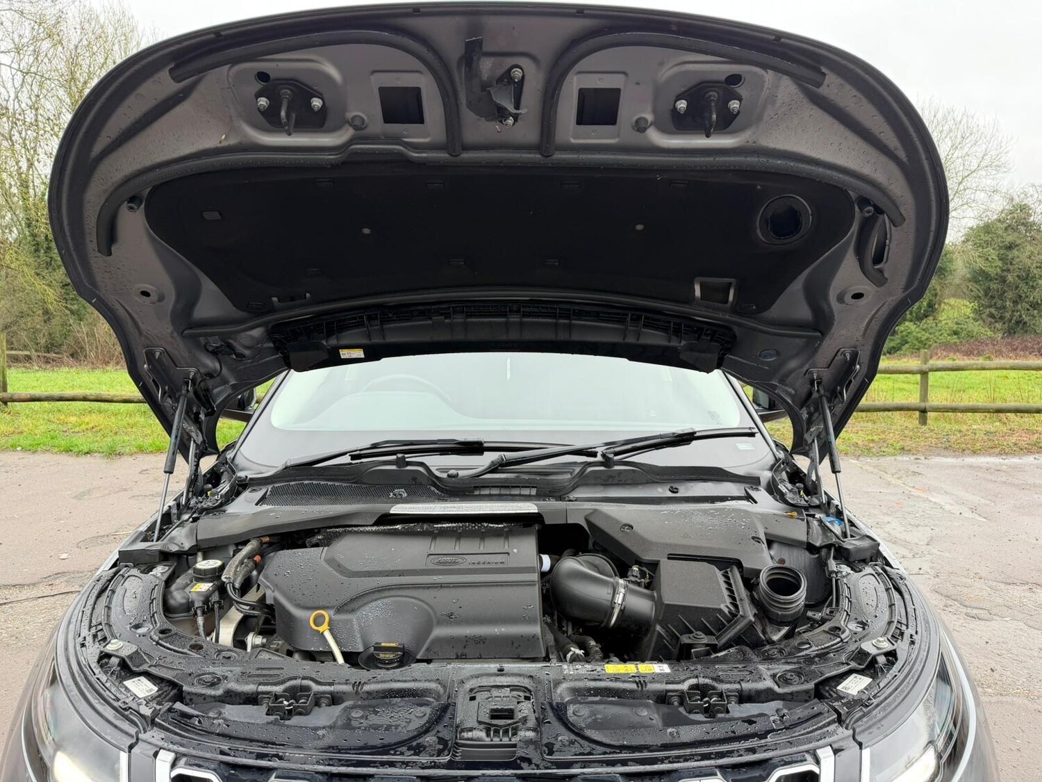 Used Land Rover Range Rover Evoque 2021 for sale - 77345017: Photo 34