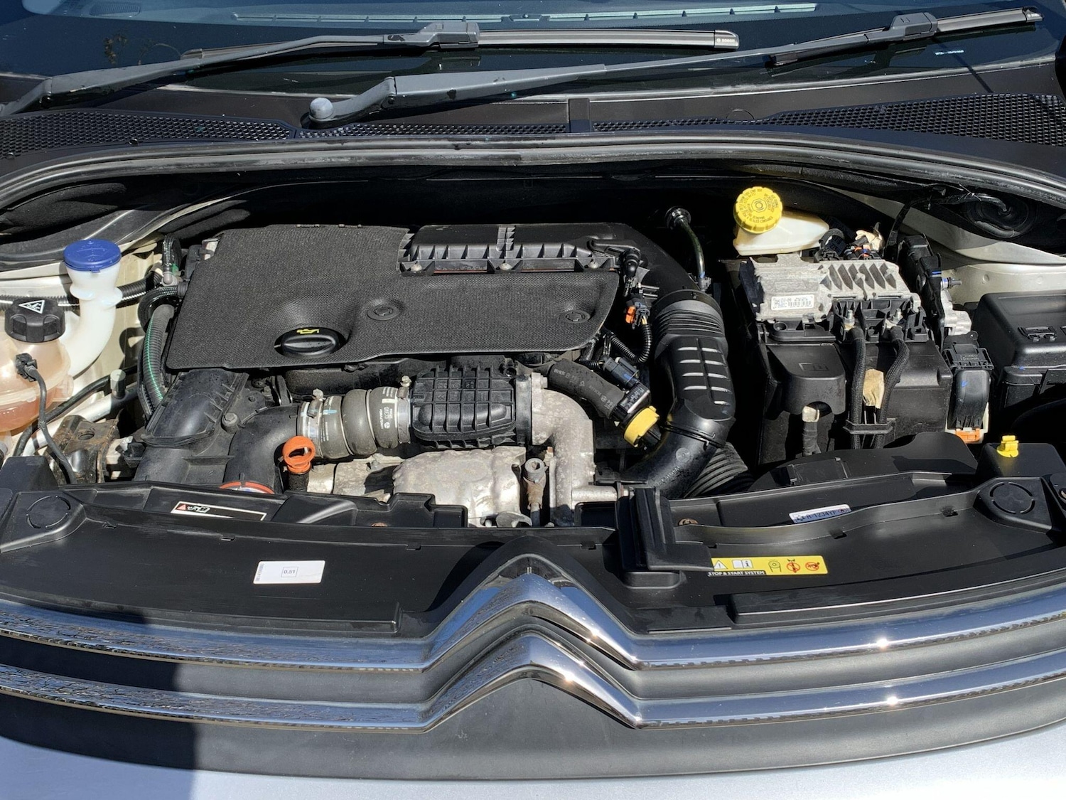 Used Citroen C3 for sale - 77925654: Photo 16