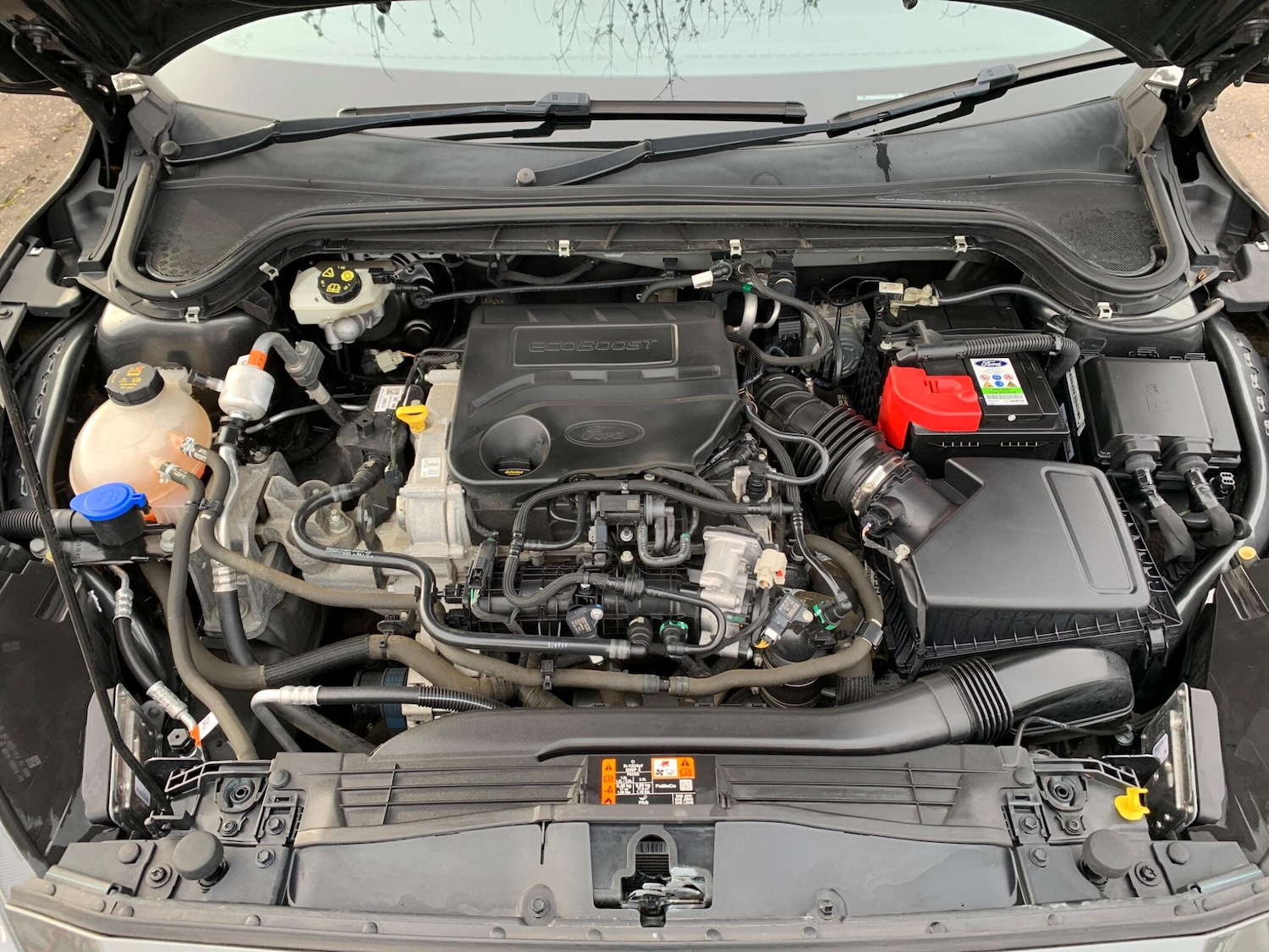 Used Ford Focus for sale - 77705186: Photo 18