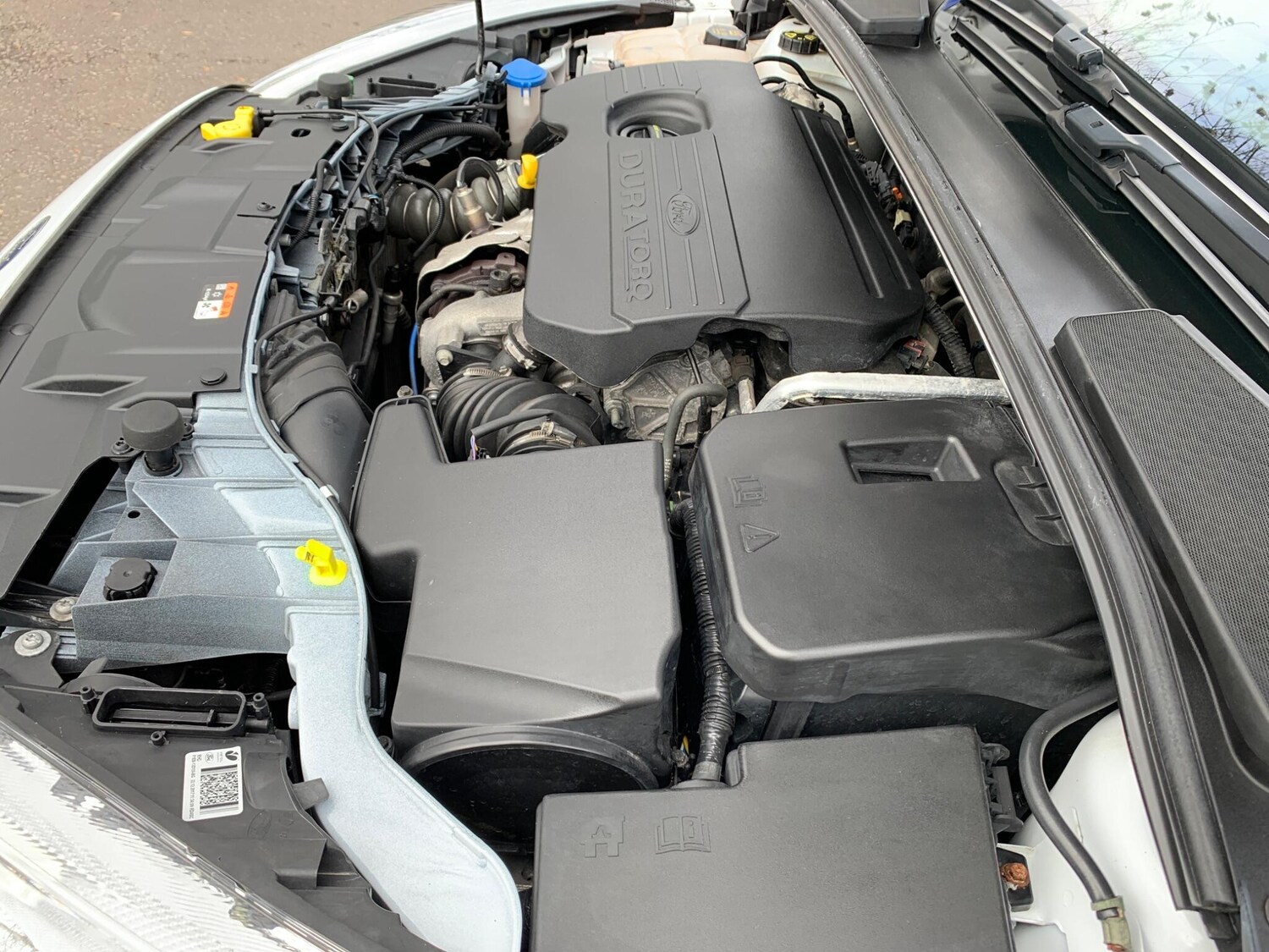 Used Ford Focus for sale - 77909126: Photo 28