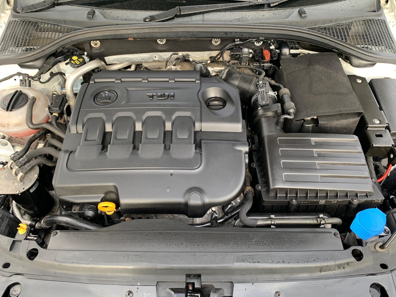 Used Skoda Octavia 2016 for sale - 77478730: Photo 12