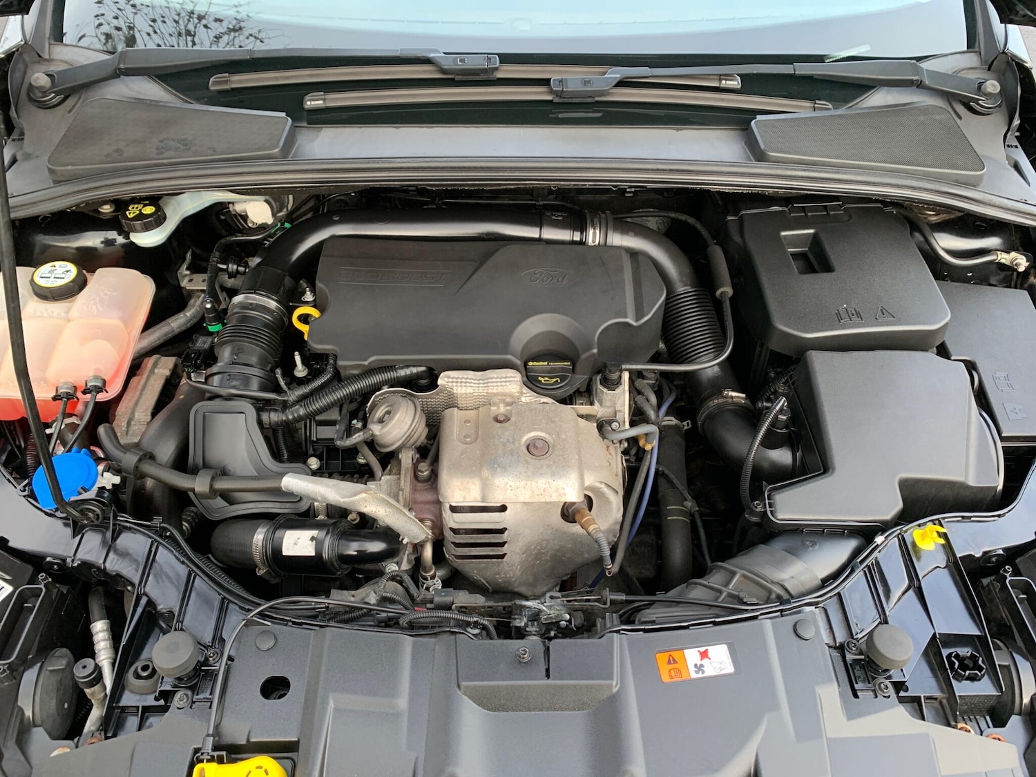 Used Ford Focus 2016 for sale - 77387516: Photo 18