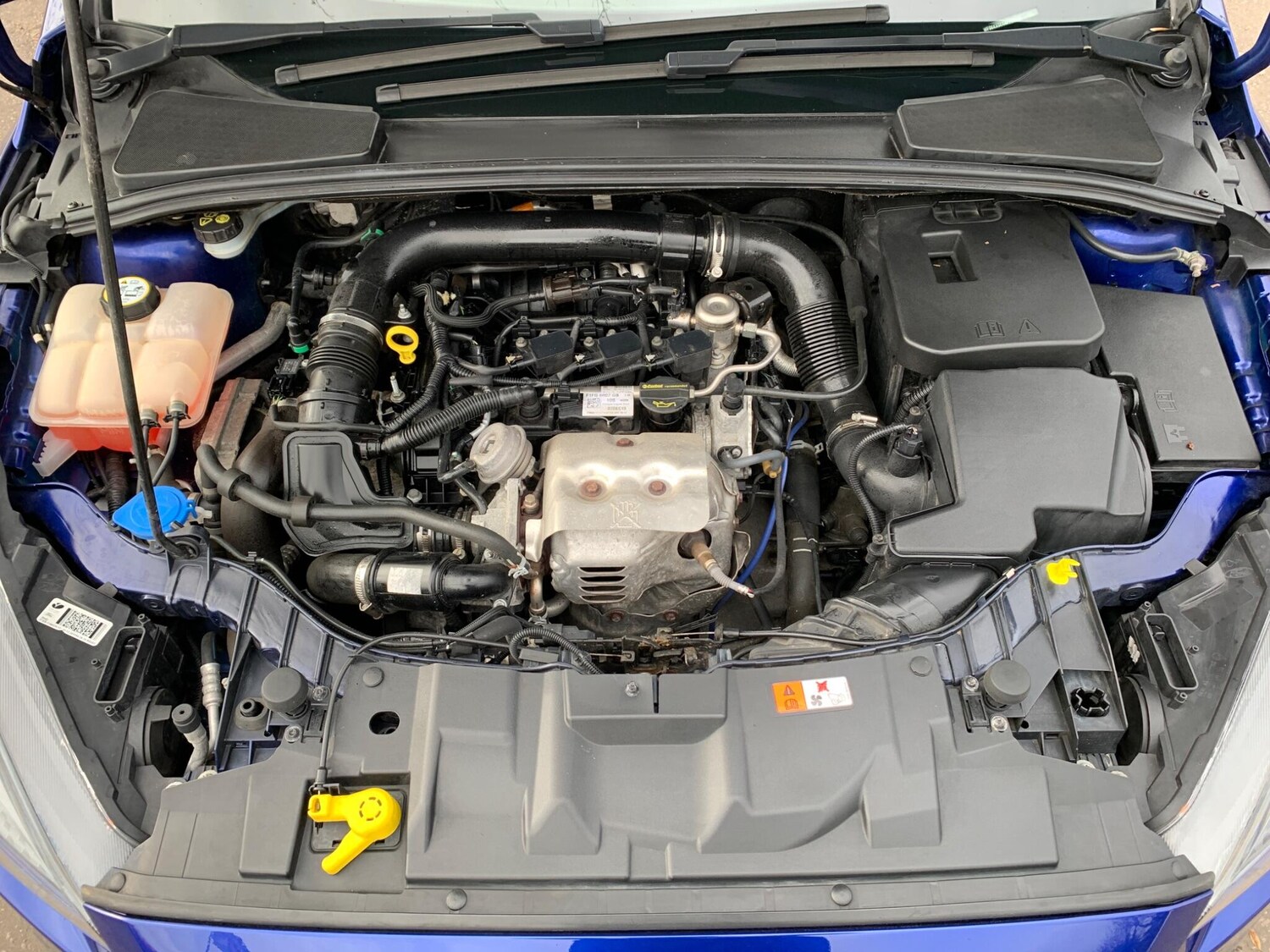 Used Ford Focus for sale - 77723450: Photo 11