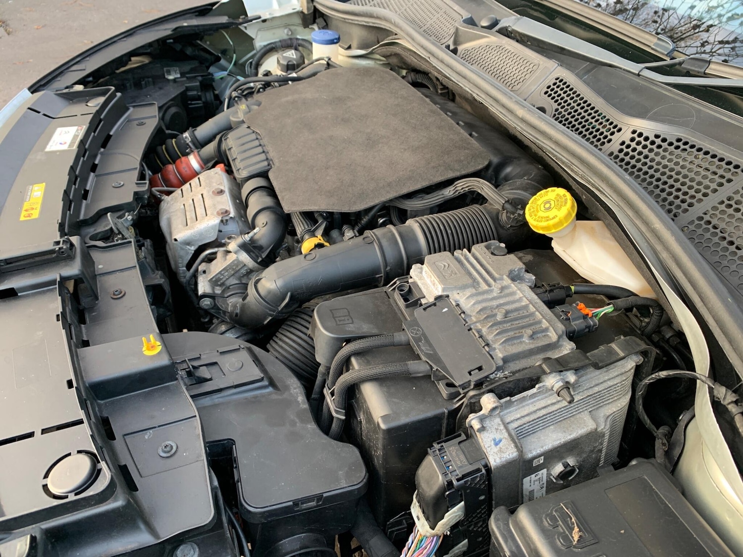 Used Citroen C4 Cactus 2018 for sale - 76657681: Photo 22