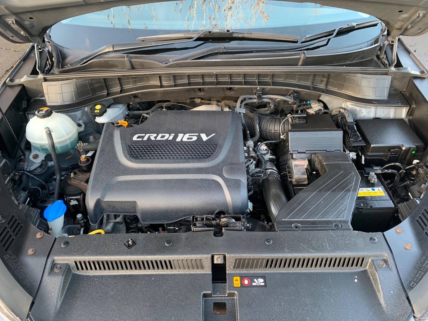 Used Hyundai TUCSON 2016 for sale - 76899687: Photo 11