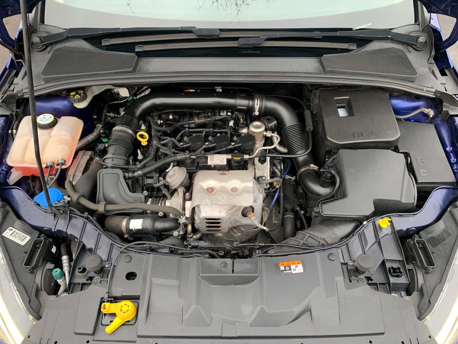 Used Ford Focus 2017 for sale - 77468501: Photo 9