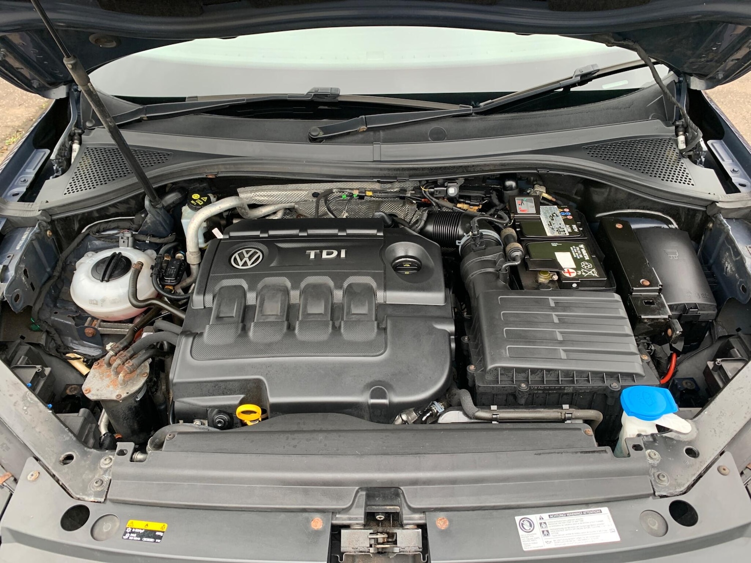 Used Volkswagen Tiguan for sale - 77768225: Photo 11