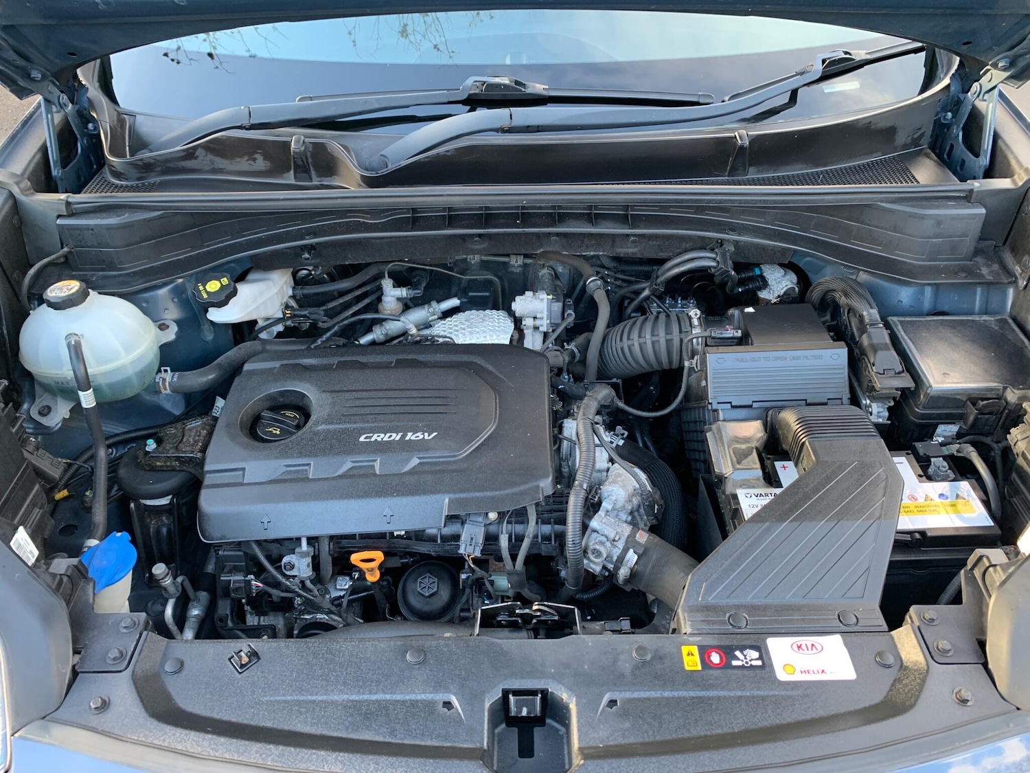 Used Kia Sportage 2016 for sale - 77131215: Photo 16