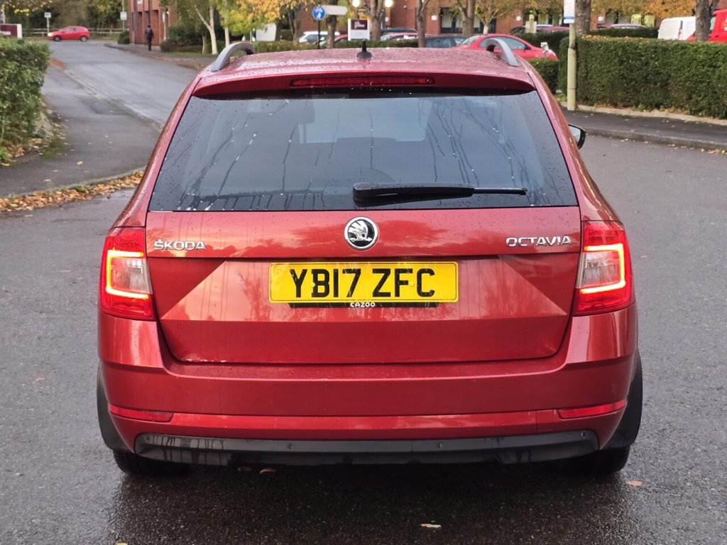 Used Skoda Octavia 2017 for sale - 76528729: Photo 13