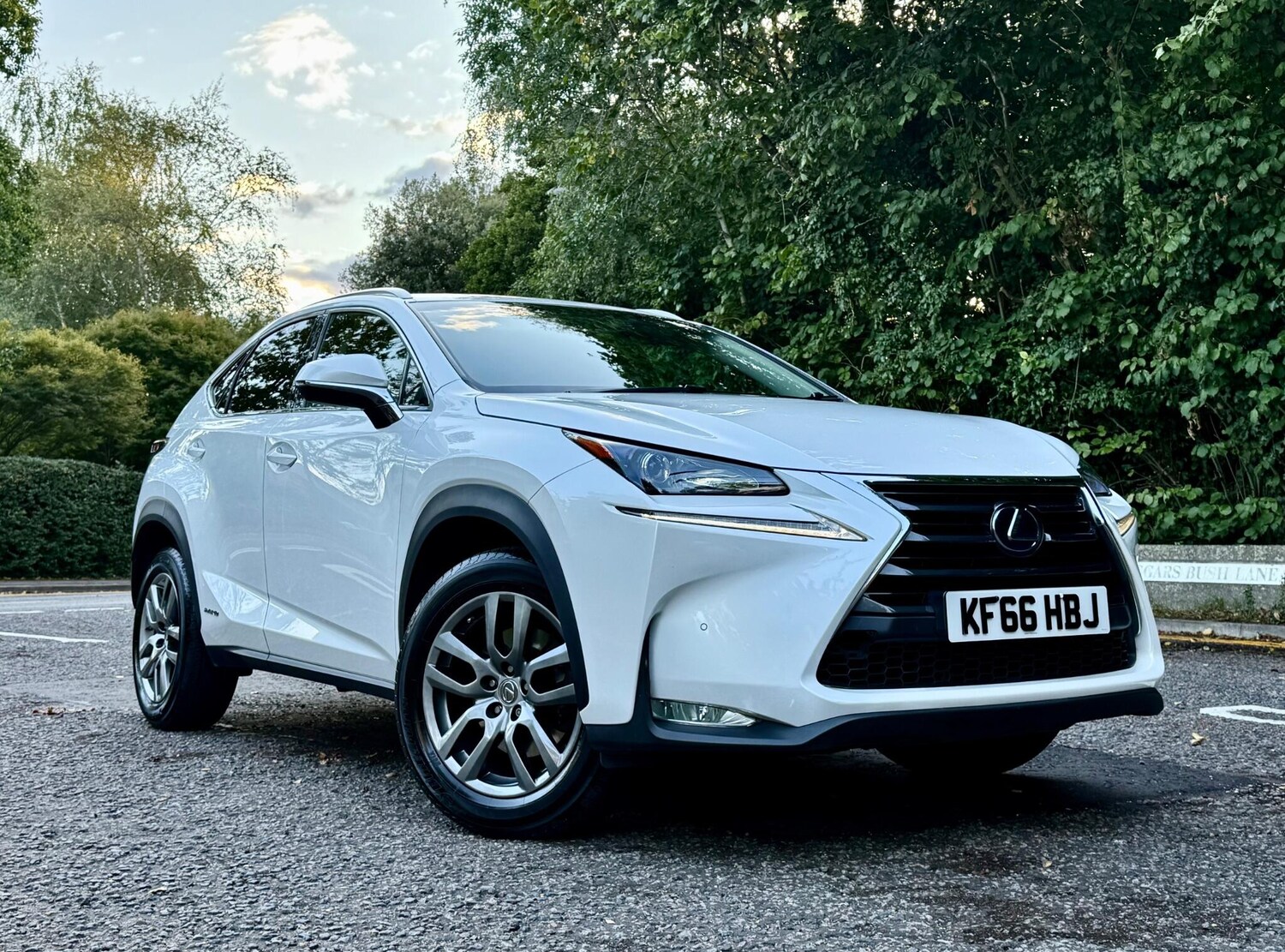 Used Lexus NX for sale - 77496283: Photo 11