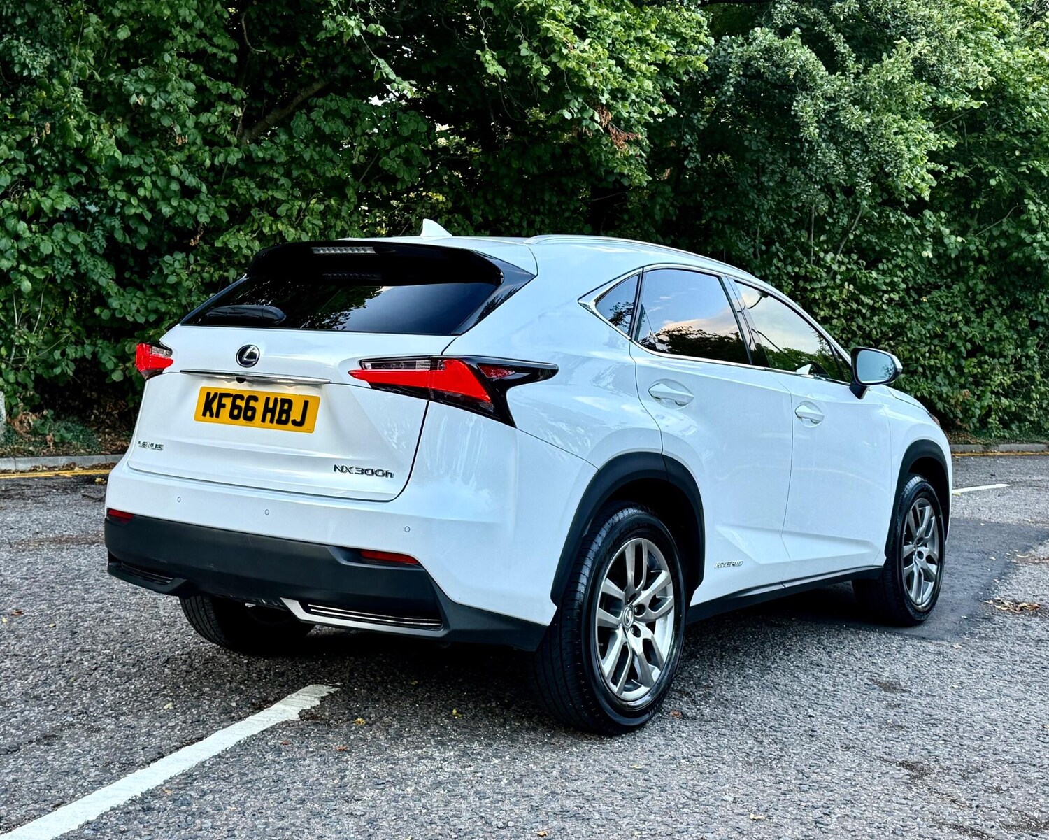 Used Lexus NX for sale - 77496283: Photo 13