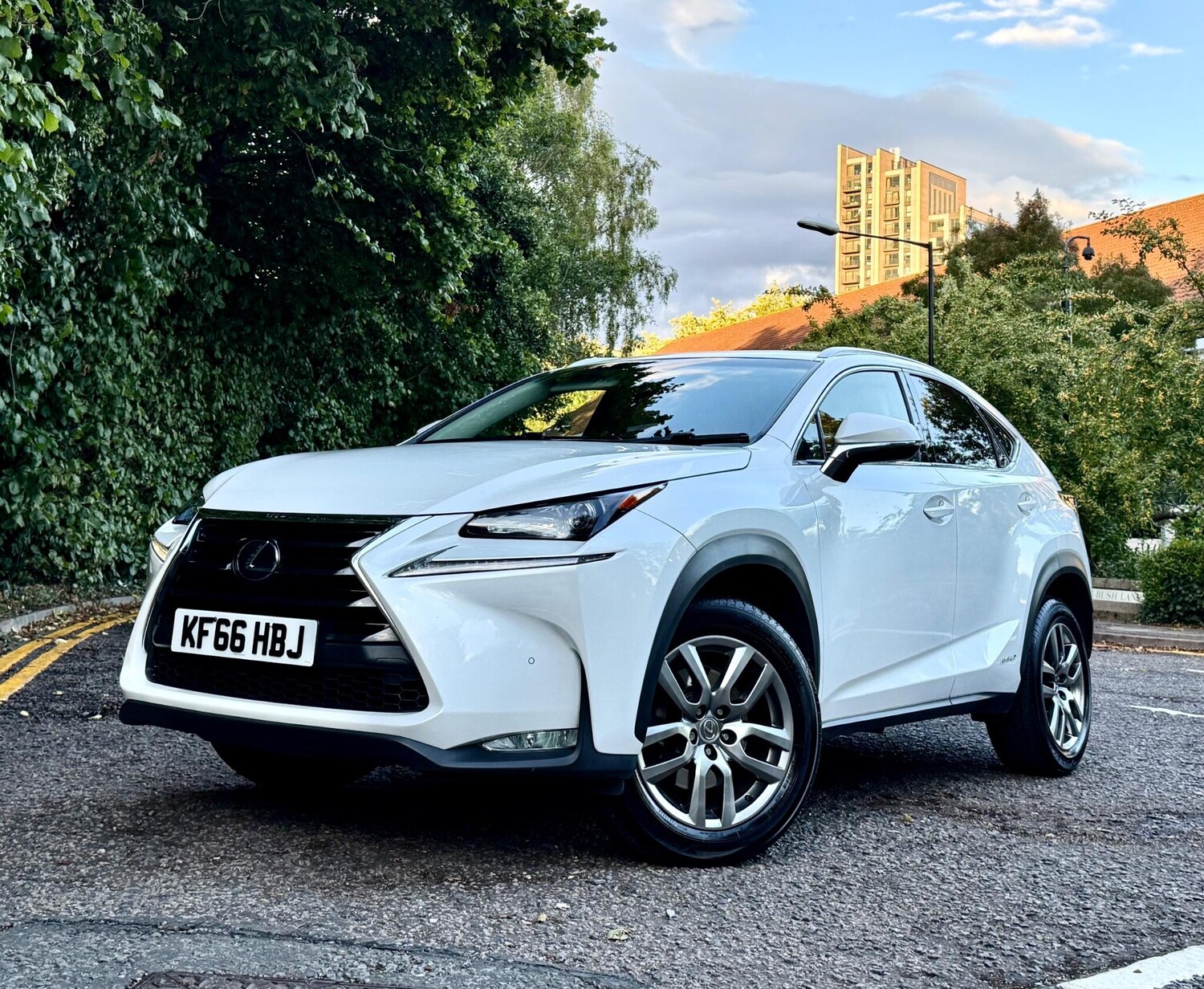 Used Lexus NX for sale - 77496283: Photo 14