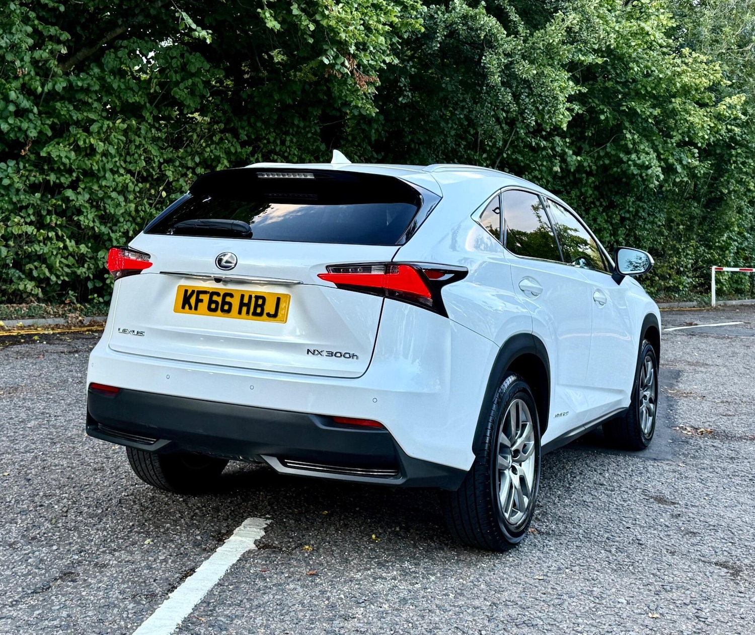 Used Lexus NX for sale - 77496283: Photo 3