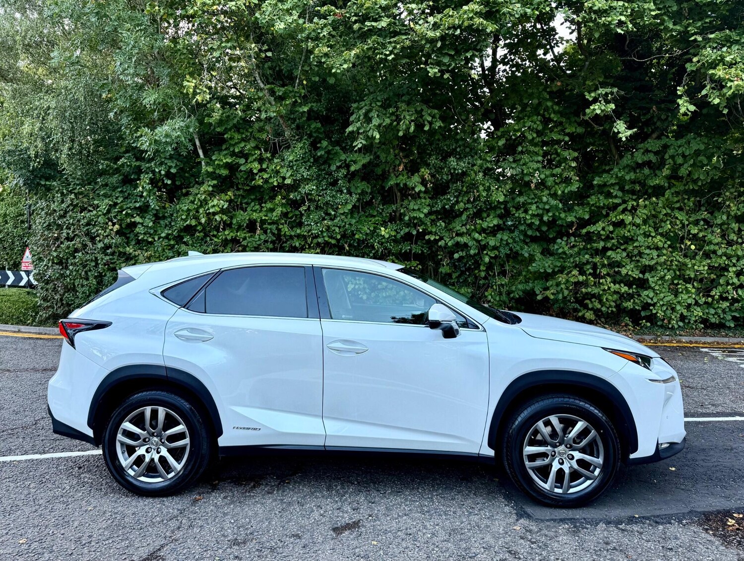 Used Lexus NX for sale - 77496283: Photo 9