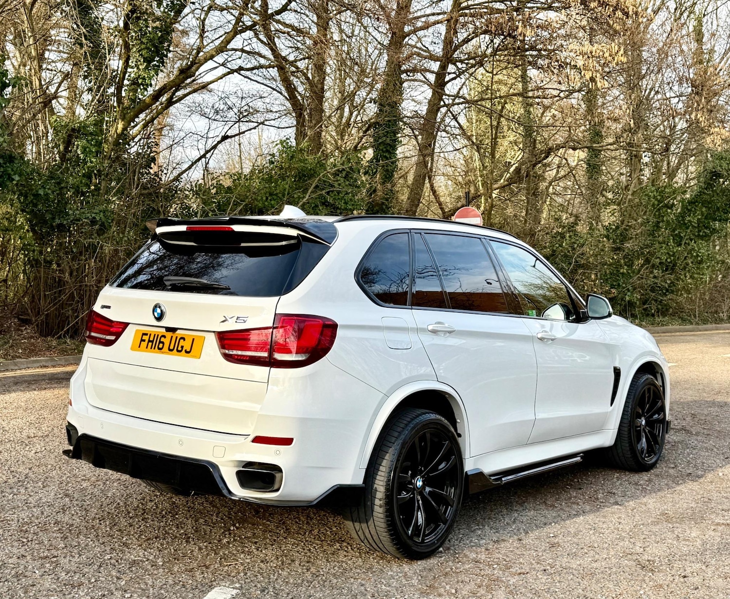 Used BMW X5 for sale - 77497583: Photo 17