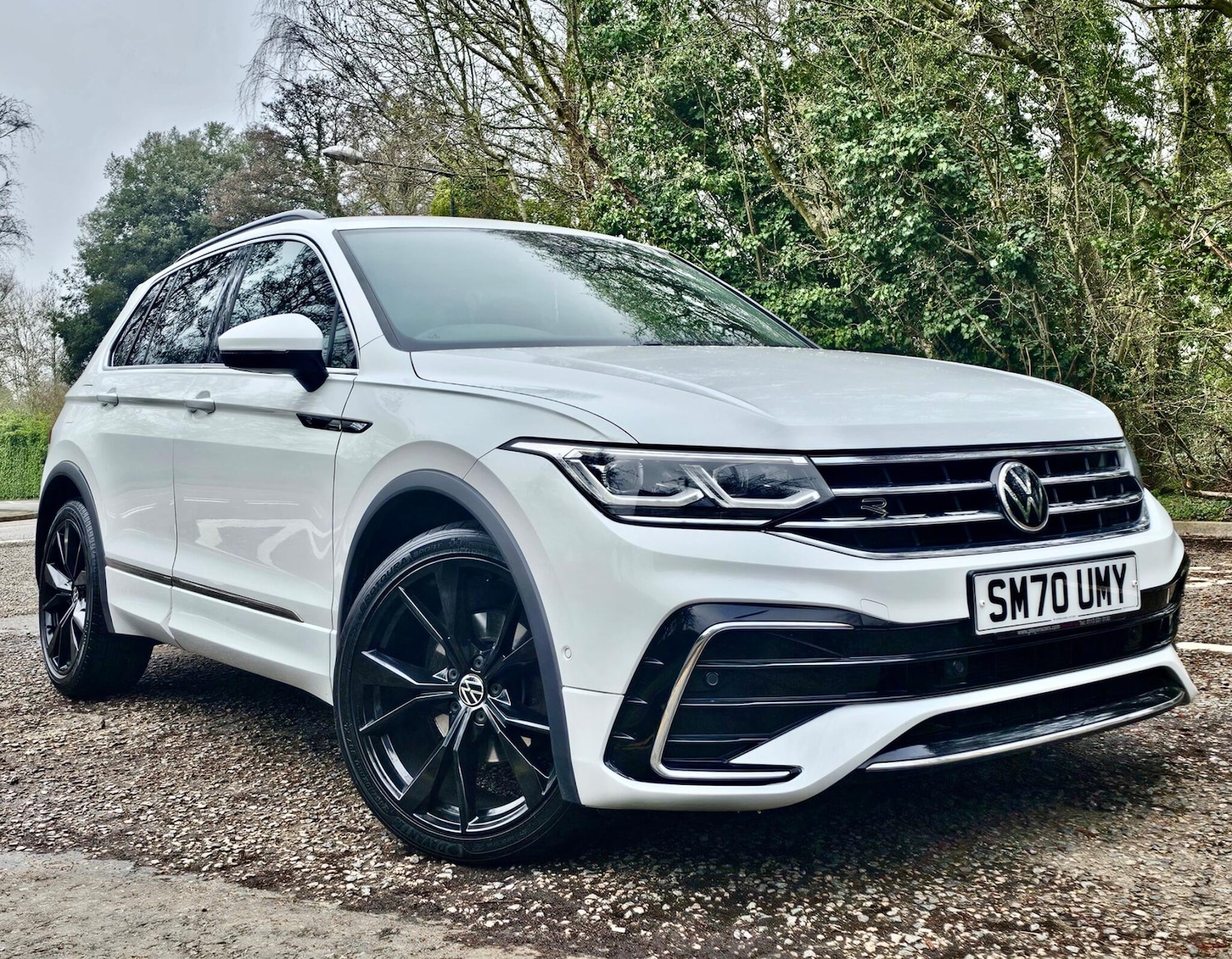 Used Volkswagen Tiguan for sale - 77824221: Photo 16