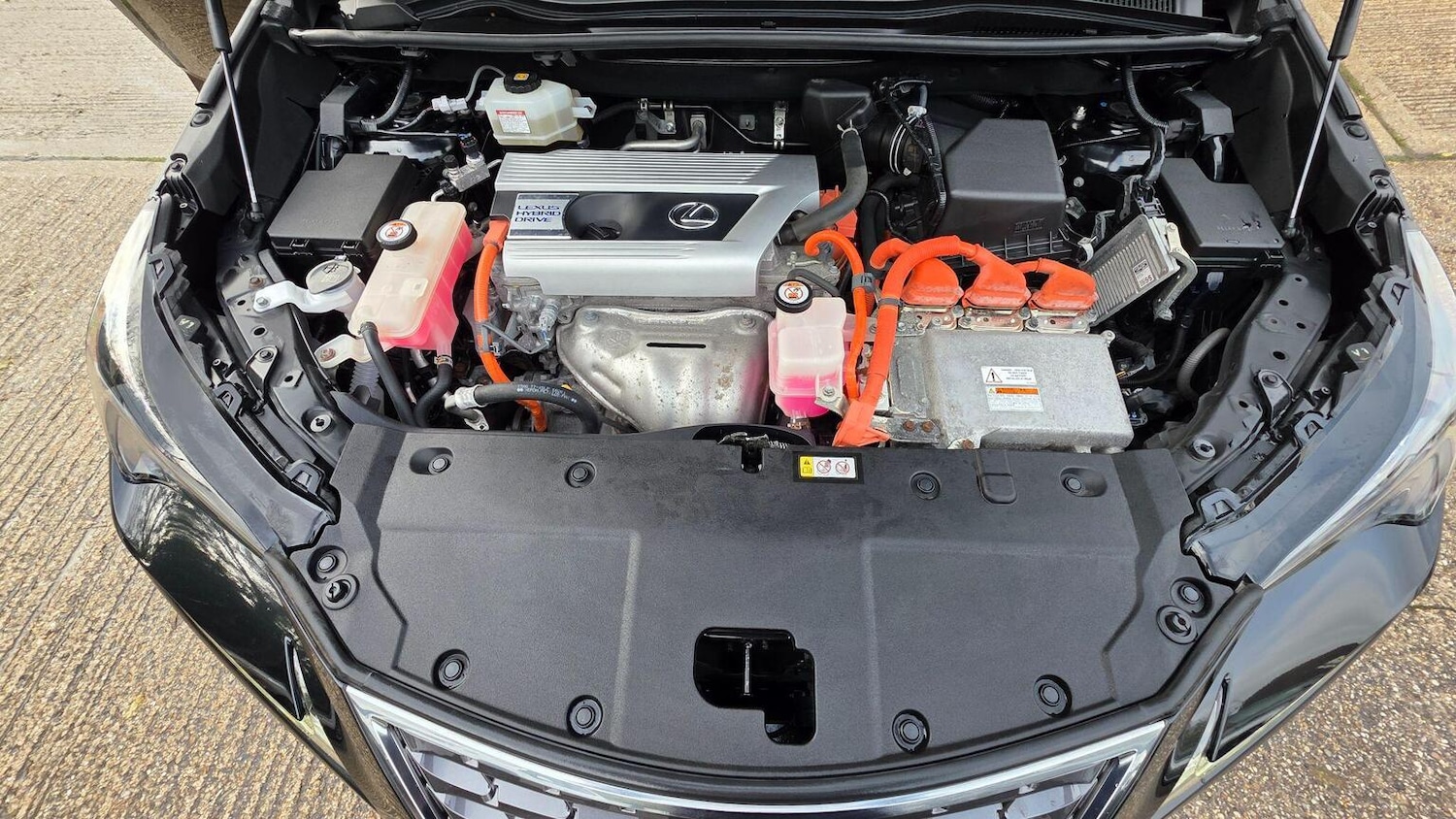 Used Lexus NX 2019 for sale - 76553993: Photo 20