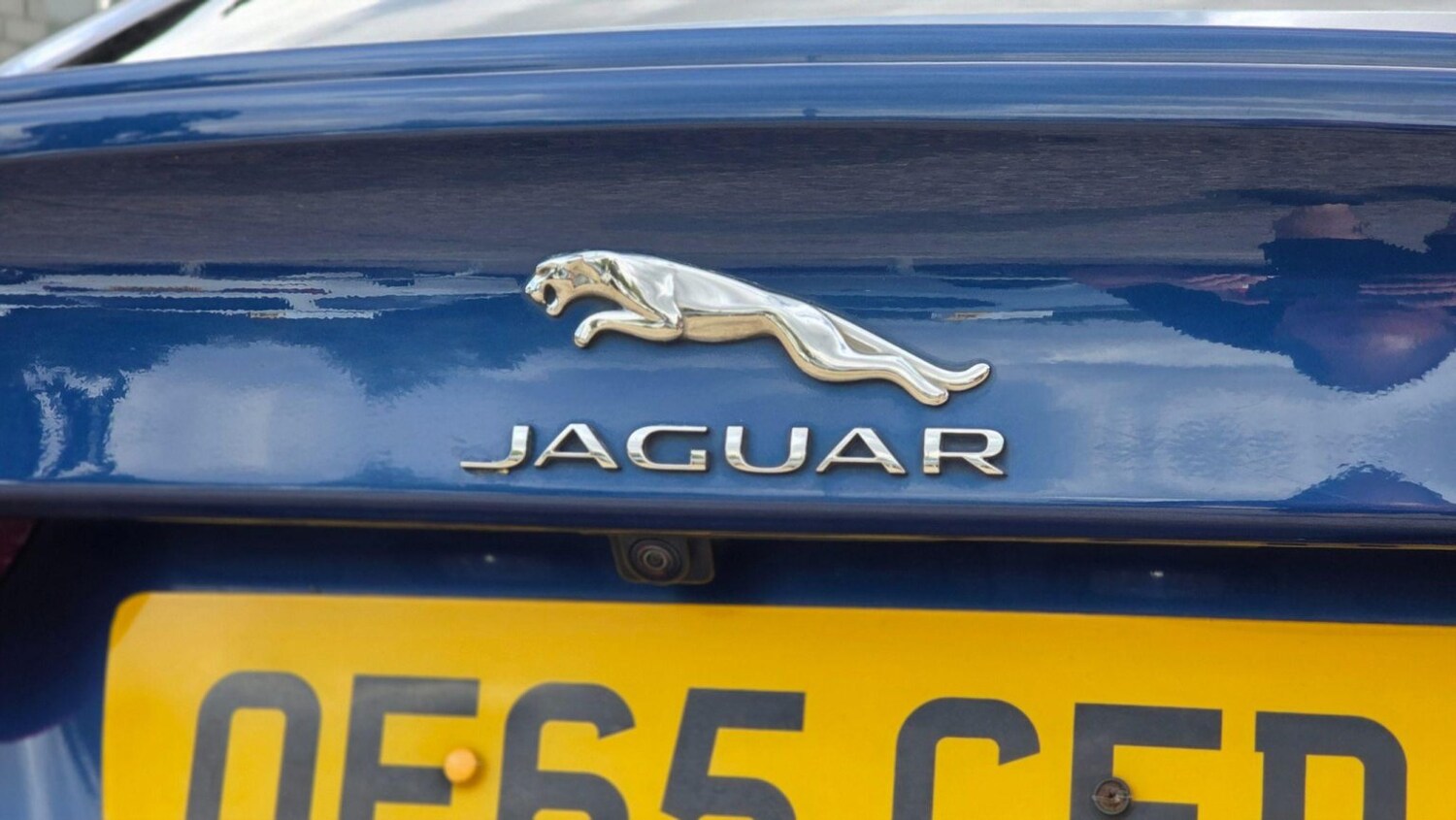 Vehicle 81