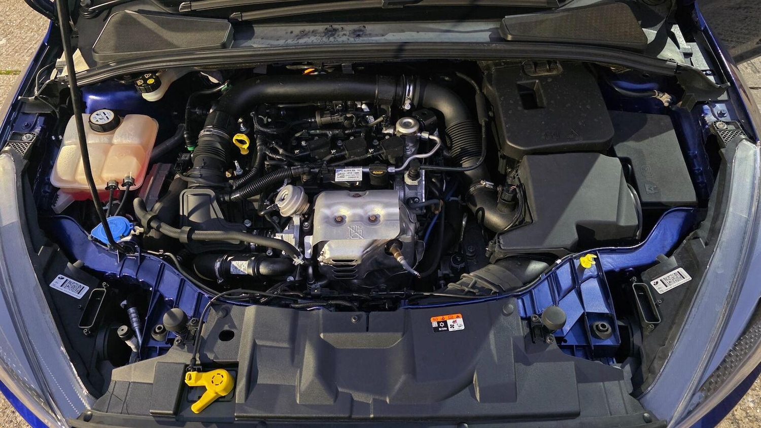 Used Ford Focus 2016 for sale - 77201200: Photo 20