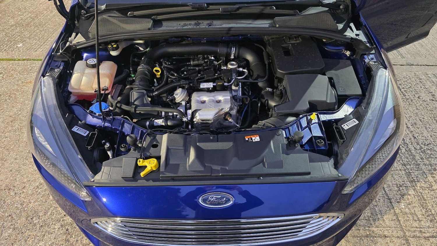 Used Ford Focus 2016 for sale - 77201200: Photo 21