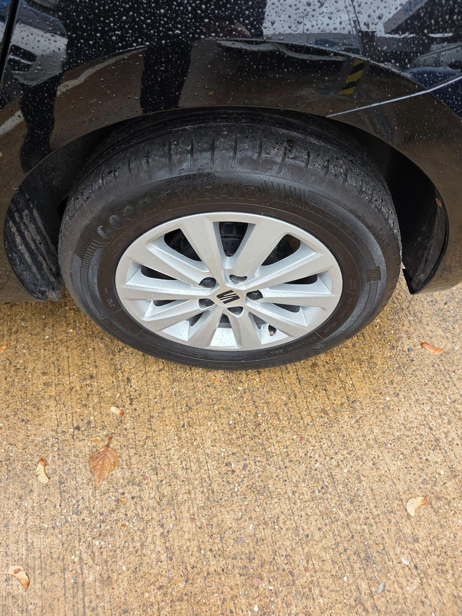 Used SEAT Ibiza 2023 for sale - 76152262: Photo 17