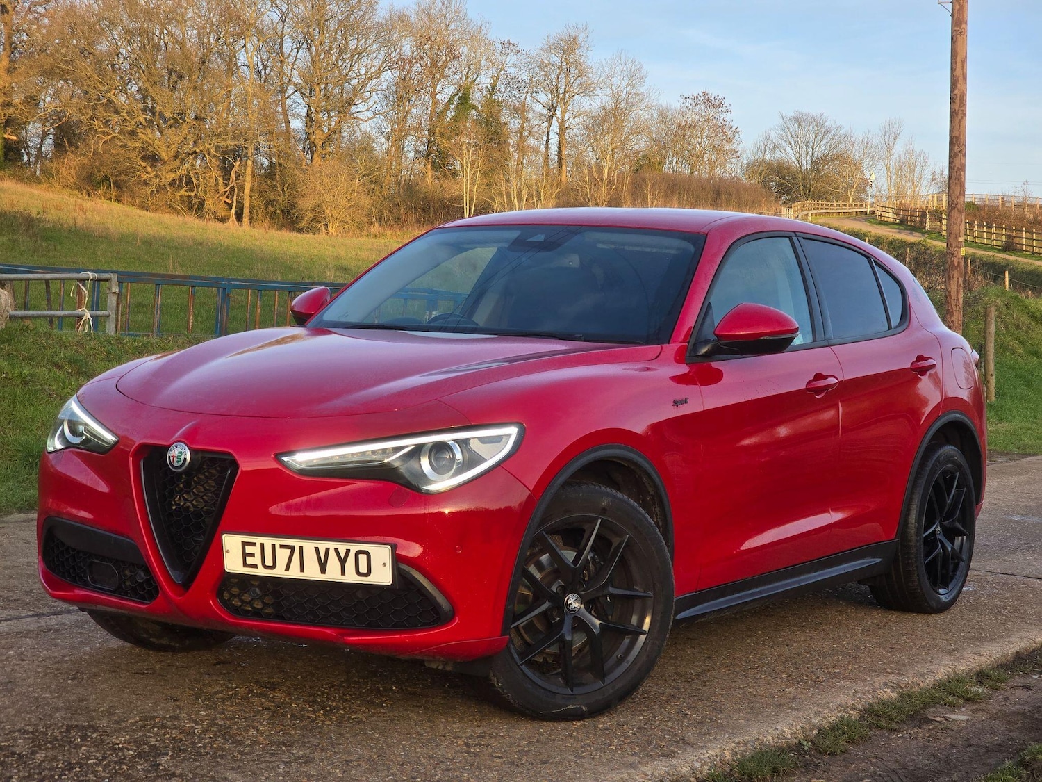 Used Alfa Romeo Stelvio 2021 for sale - 77097573: Photo 2