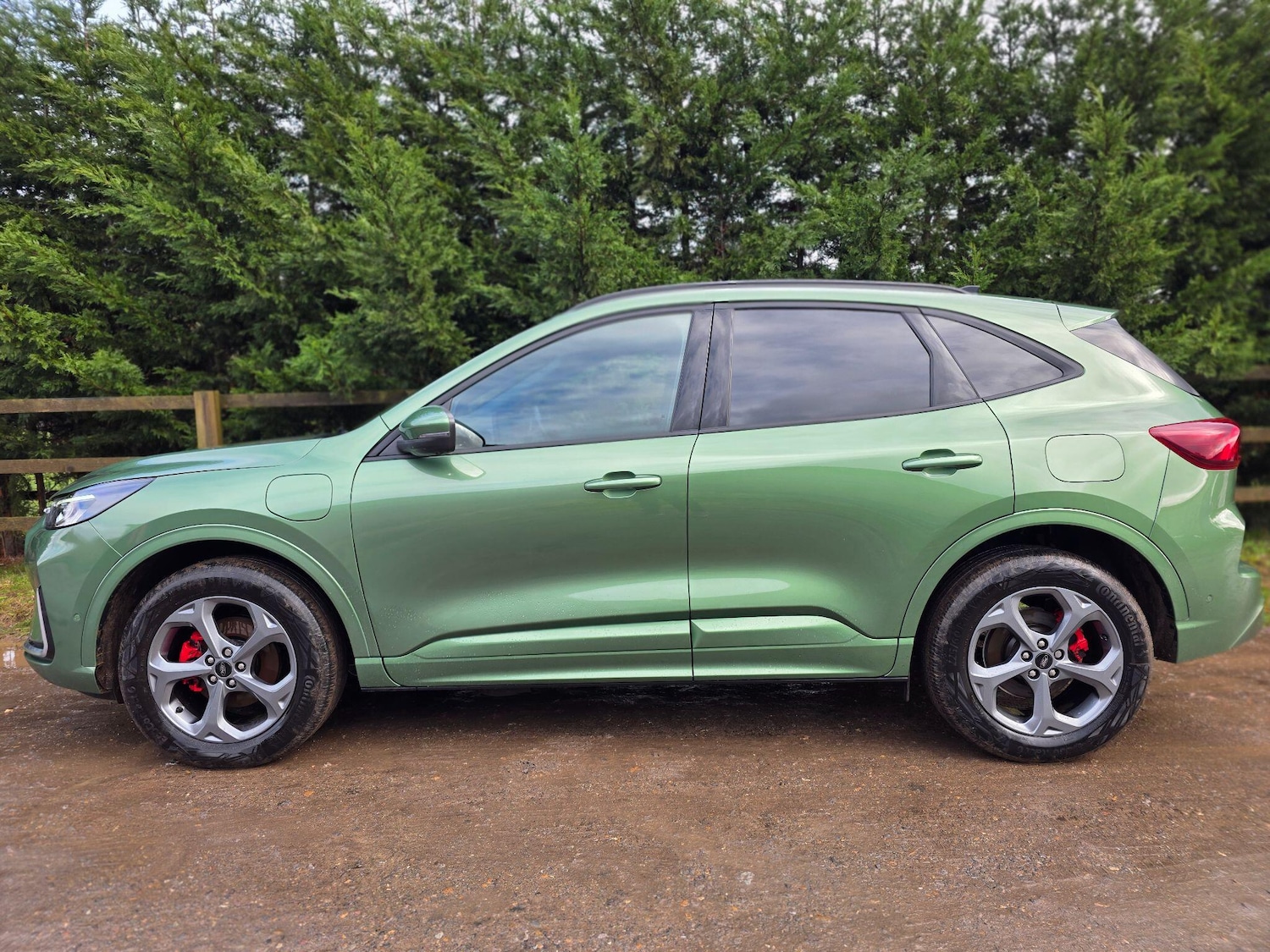 Used Ford Kuga 2024 for sale - 77524641: Photo 10